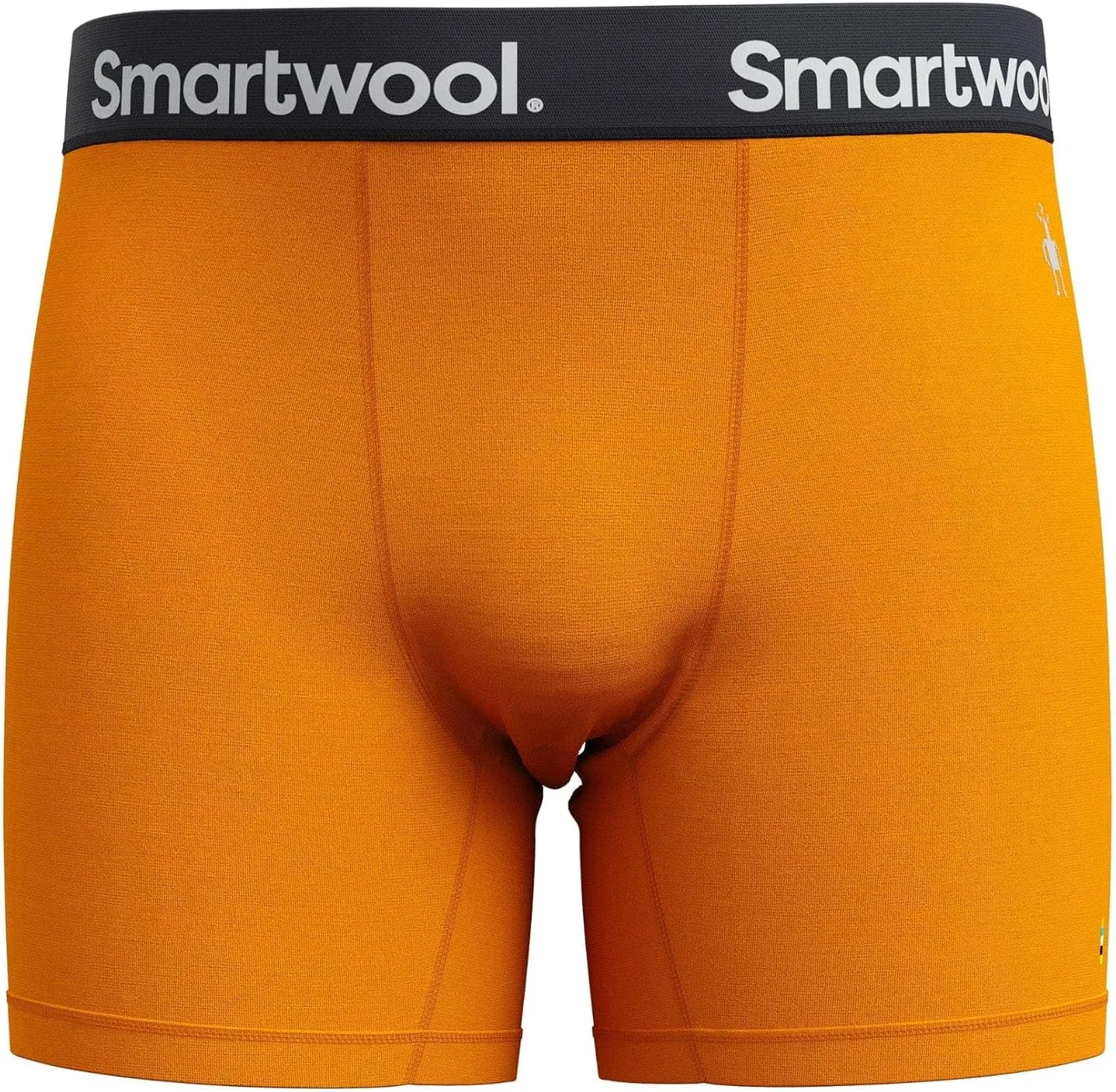 Smartwool Men's Active Boxer Brief Boxed